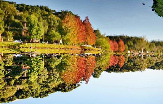 Lake St. Bernard