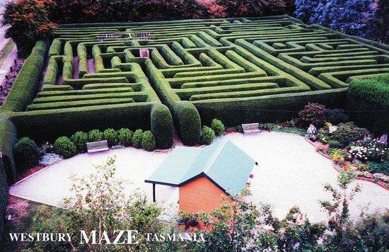 Westbury Maze