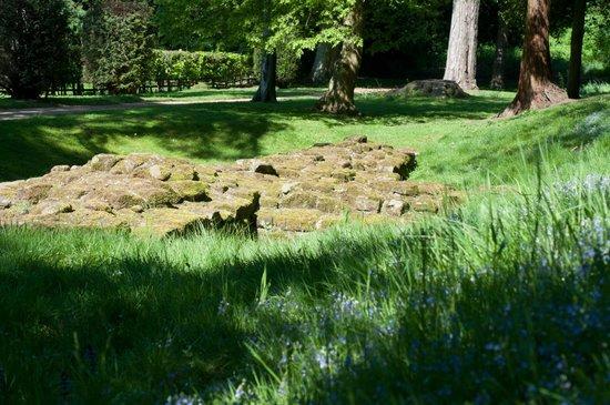 Aldborough Roman Site