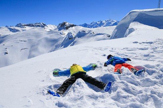 Des Carroz Ski School