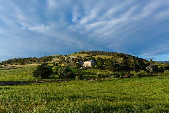 Pooley Wines