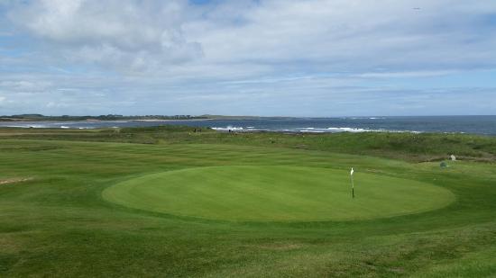Dunstanburgh Castle Golf Club