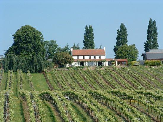 Three Choirs Vineyard