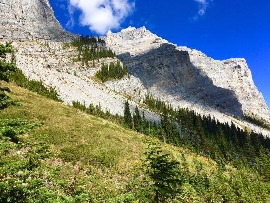 Ribbon Creek Trail