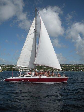 Action Charters