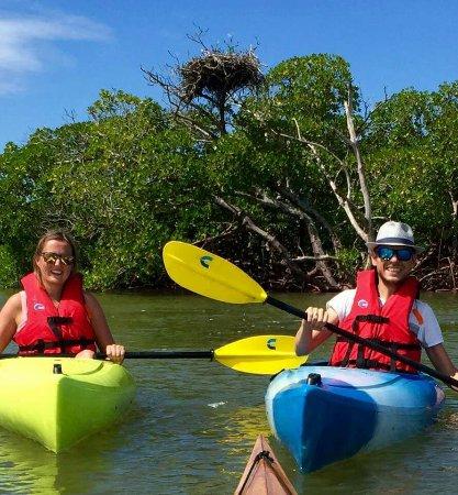 Kayak Tours with Mike Devlin