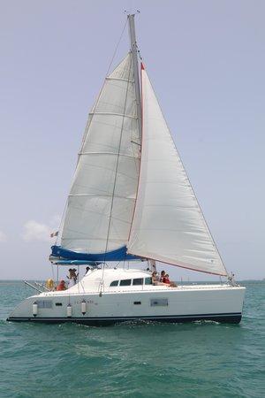 Sailing Sun Charters