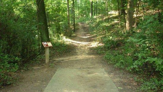Bower's Park Disc Golf Course