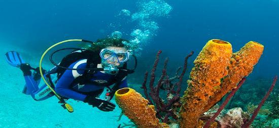 Cabeza de Toro Divers