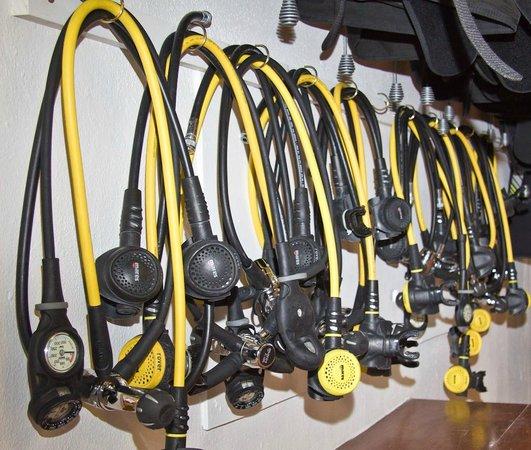 Dive Academy Ballena Blanca