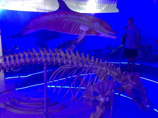 Almirante Paulo Moreira Oceanographic Museum