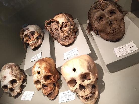 Antonini Archaeological Museum