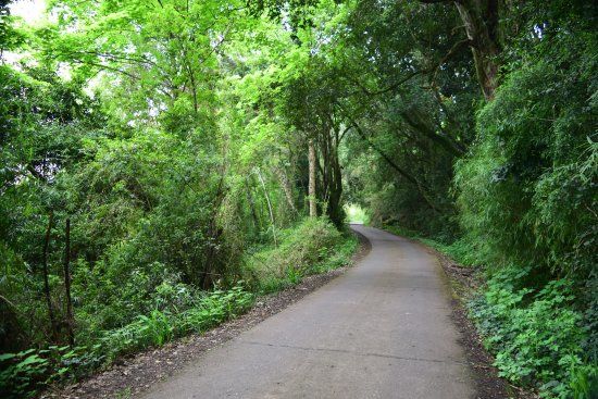 Monumento Natural Cerro Nielol