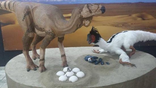 Museu Joias da Natureza