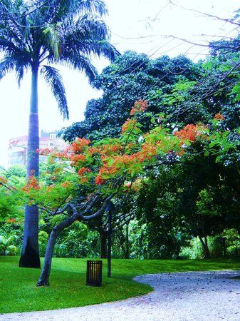 Parque Fernando Penalver