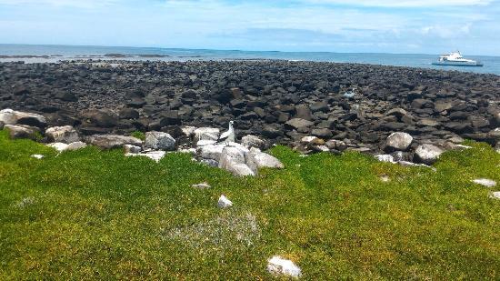 Siriba Island