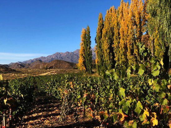 Valle de Uco
