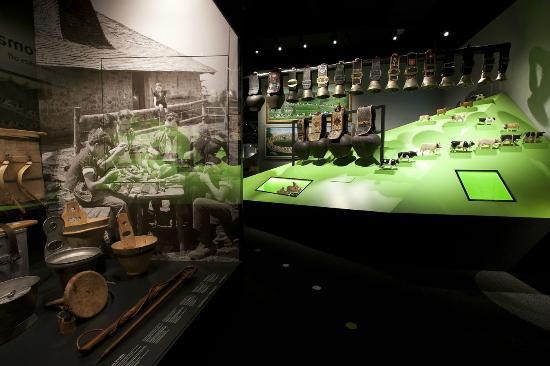 Bulle Gruyere Museum and Library