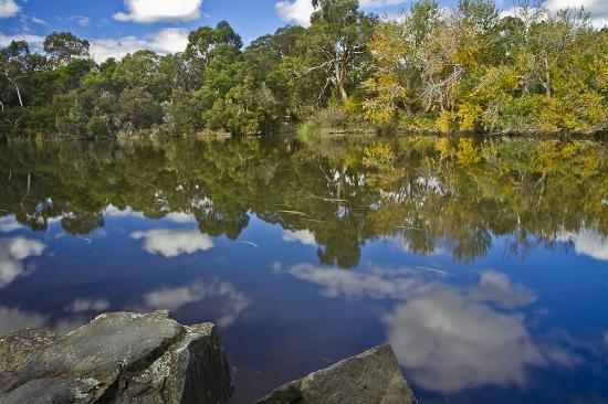 Blackburn Lake Sanctuary