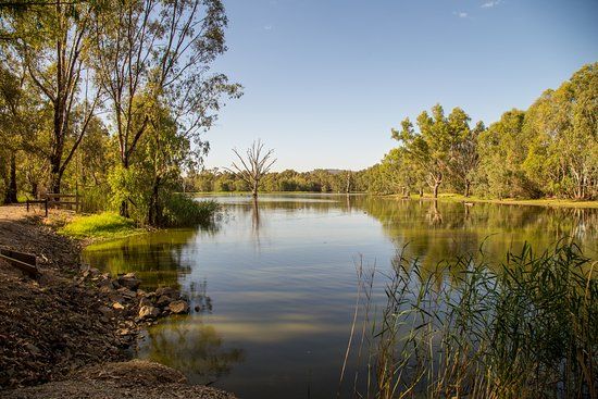 Wonga Wetlands