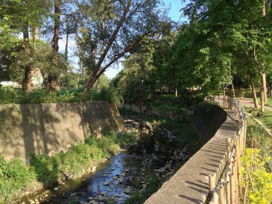 Shanhua Sugar Factory