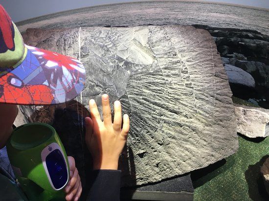 Observatoire de l'Astrobleme de Charlevoix