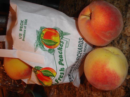 Beckwith's Apple Orchard