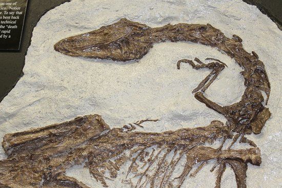 Amazing Science Centre