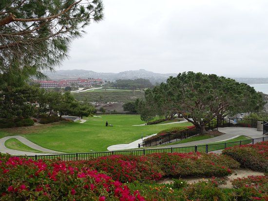 Doris Walker Overlook