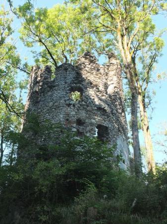 Ruine Fluhenstein