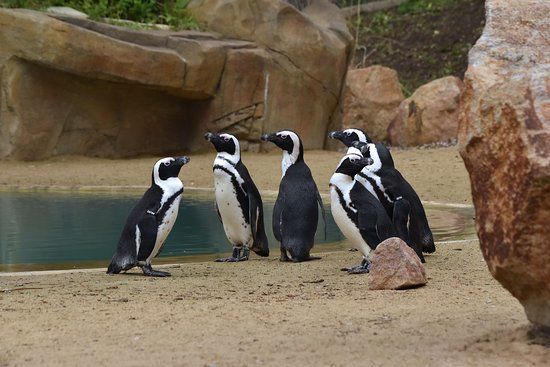 Usti Nad Labem Zoo