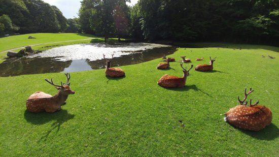 Marselisborg Deer Park