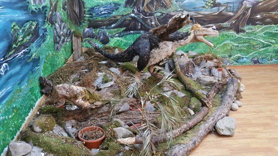 Dinosaur Geopark Hateg