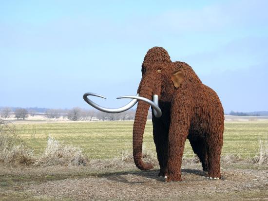 Horicon Marsh Explorium