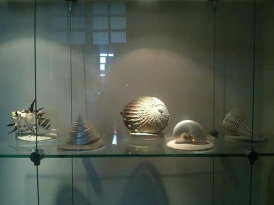 Museo Del Mar Mexico