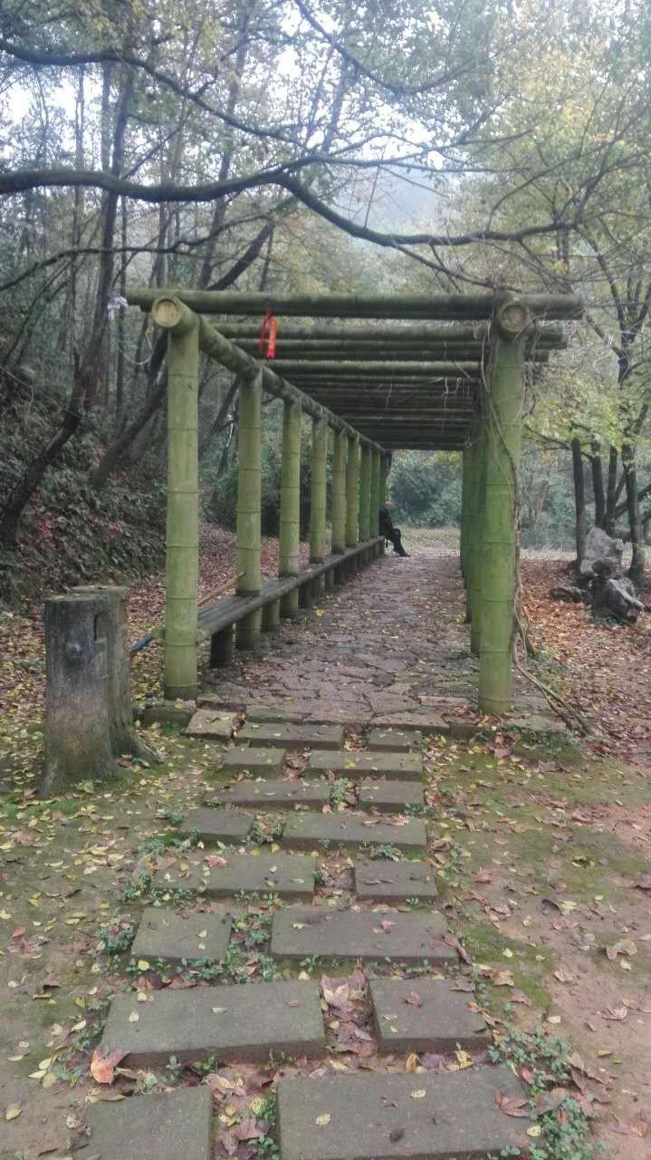 Quzhou Confucian Family Temple