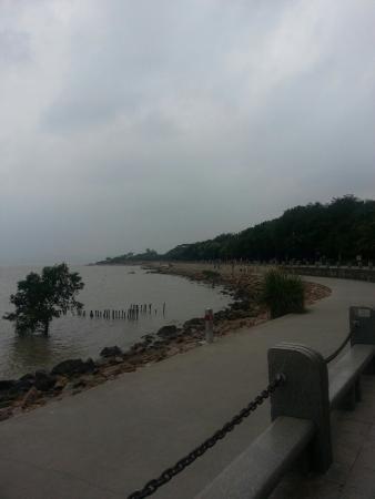 Futian Nature Reserve