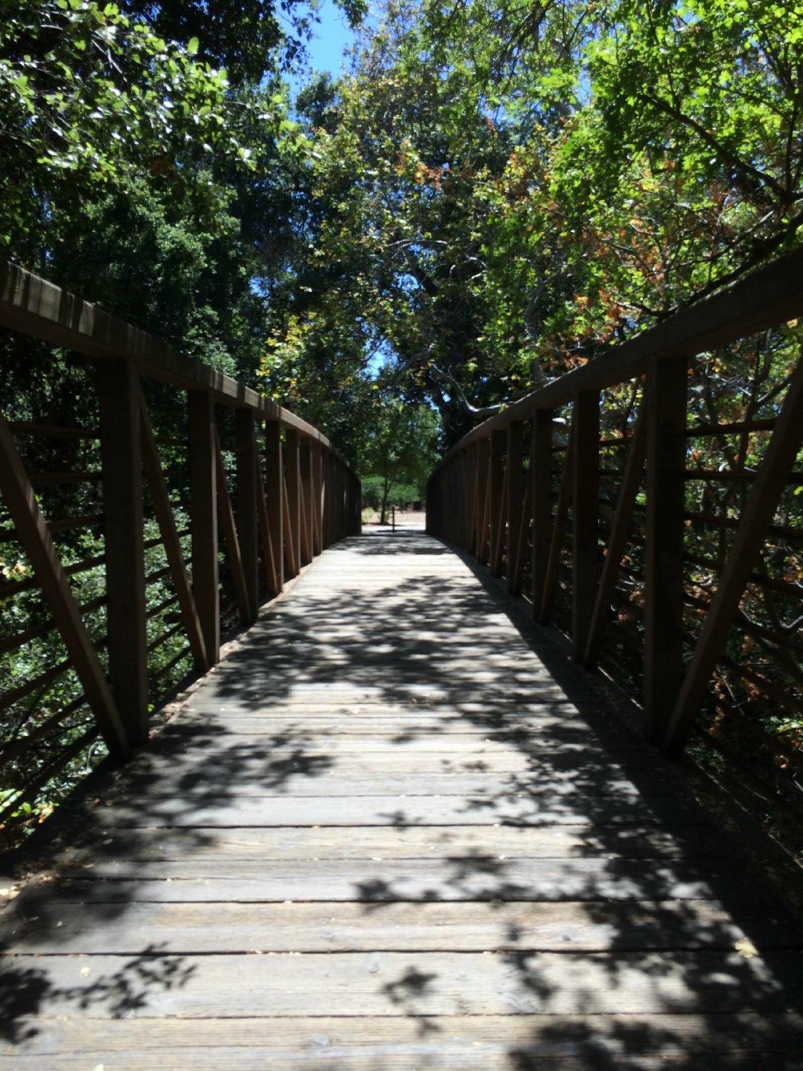 Martial Cottle Park