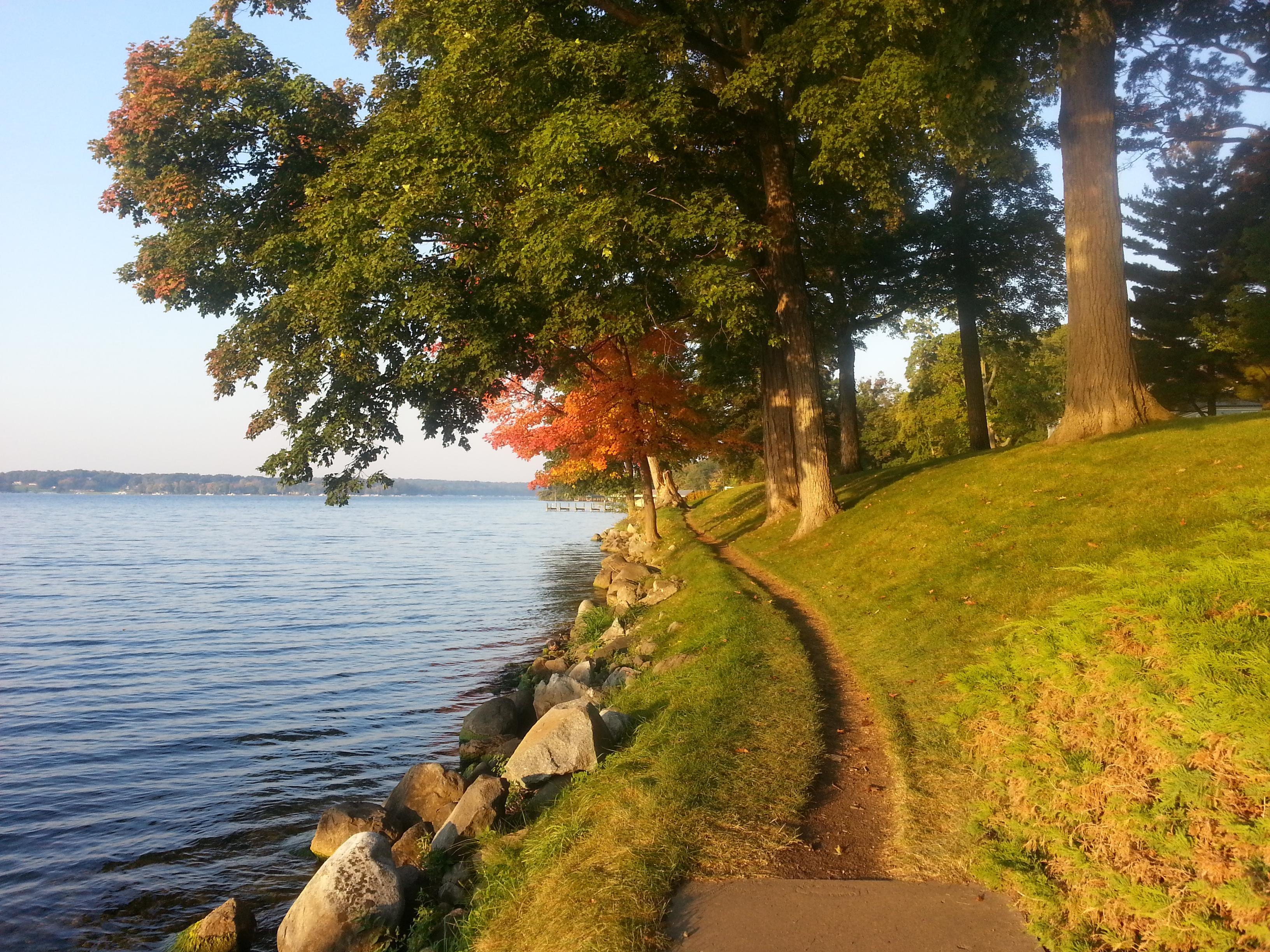 Community Park