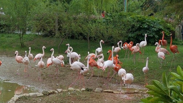 Suncheon Bay National Garden