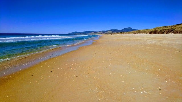 Winifred Curtis Scamander Reserve