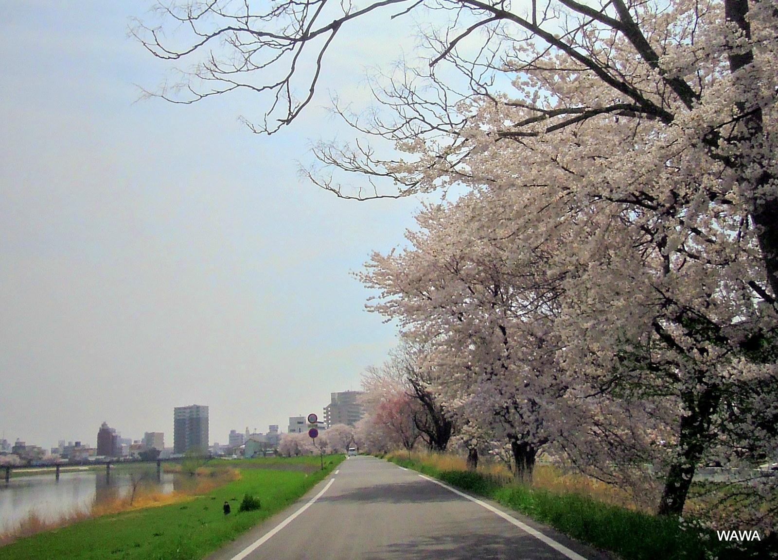 Play Atre Tsuchiura