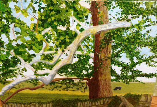 Solaris Art Gallery 786