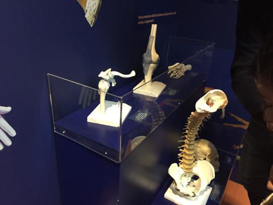 Museo Di Archeologia E Scienze Naturali