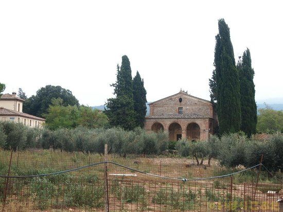 La Botteghina di Scorgiano