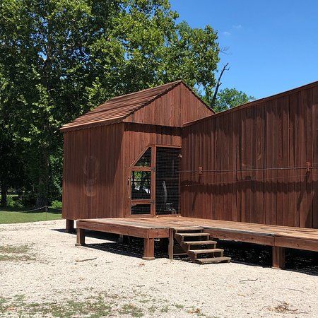 Nellie Johnstone No. 1