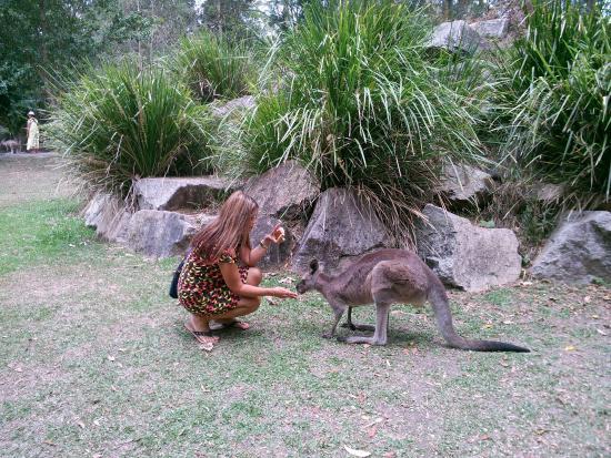 Brisbane's Alma Park Zoo