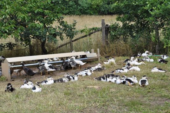 Ferme Terroir de Lol