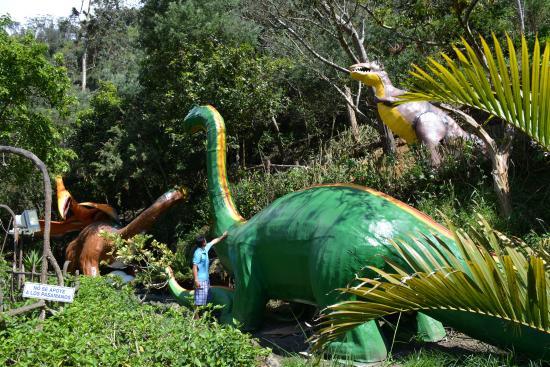 Eduardo's Ecologia & Aventura