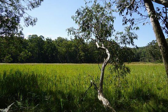 Mummel Gulf National Park
